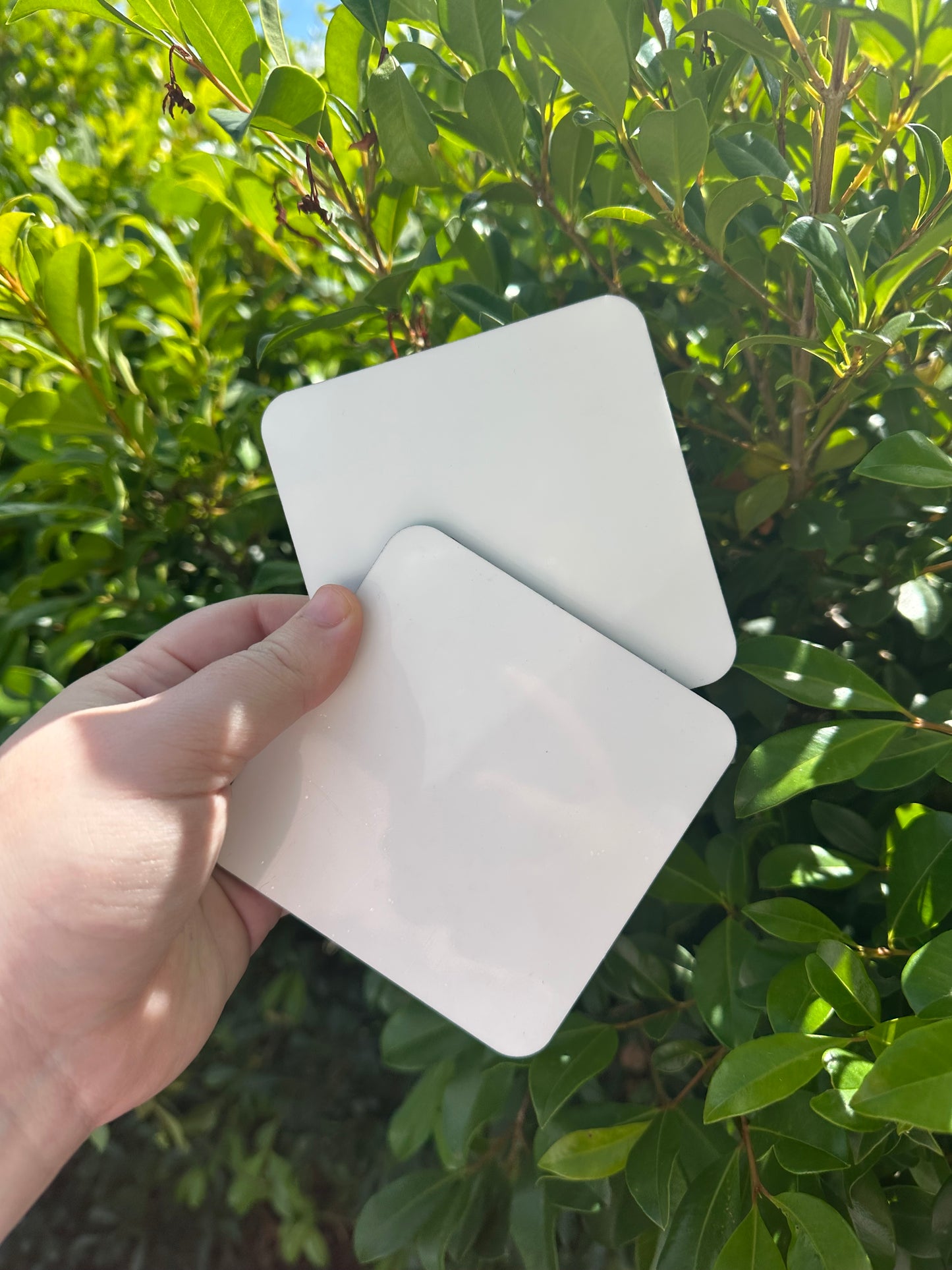Coaster Set