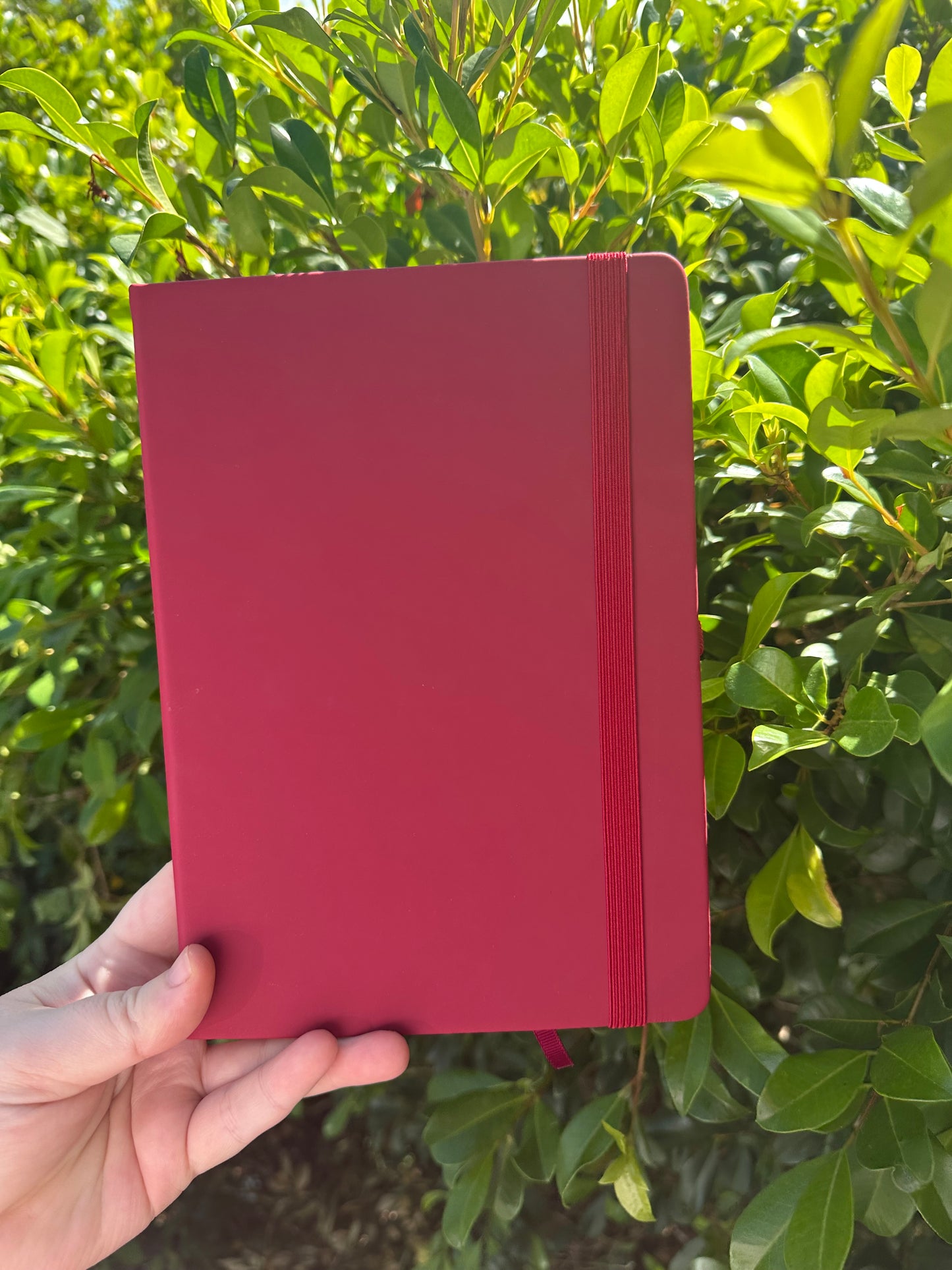 Notebooks