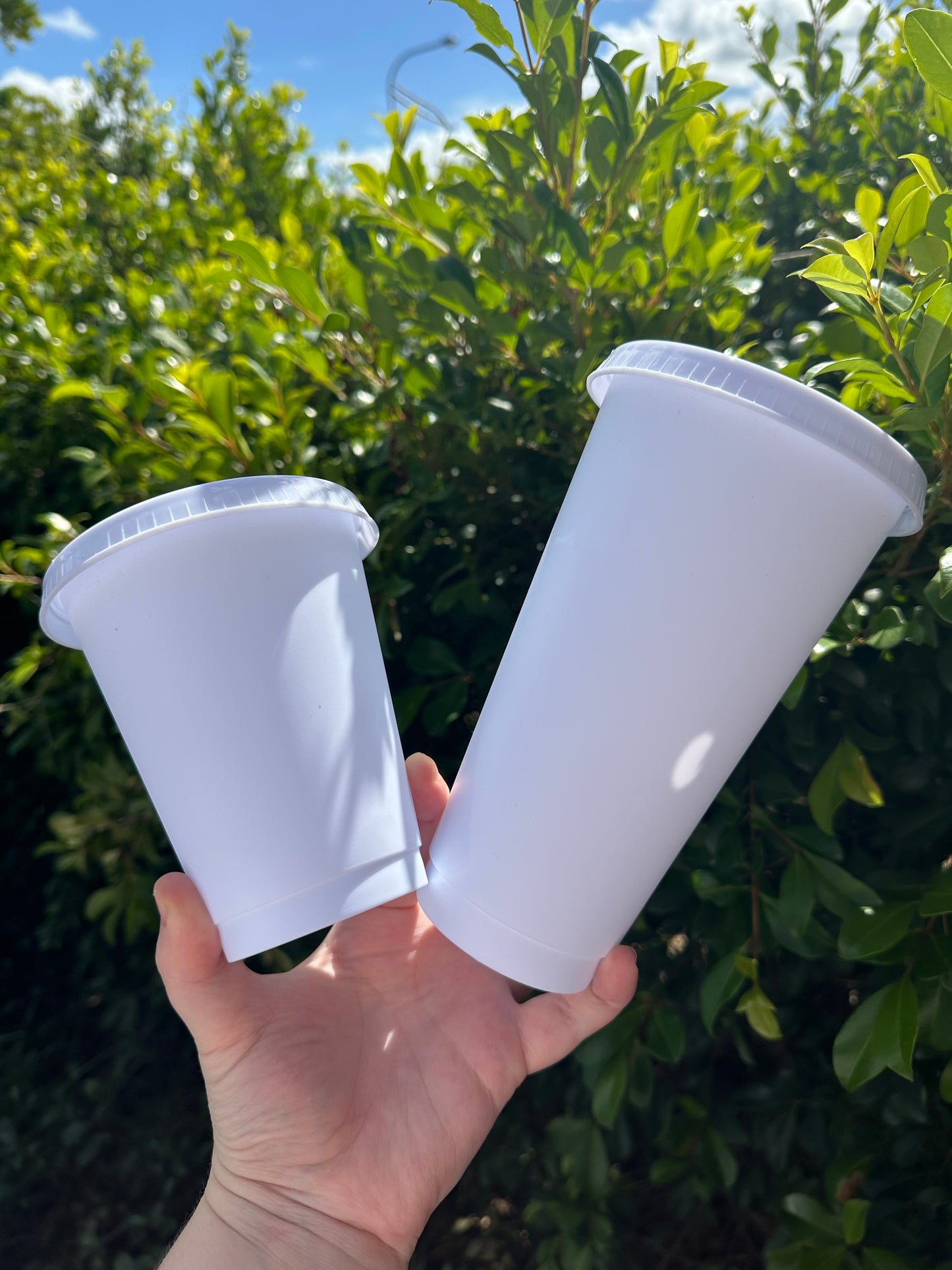 Small Cold Cups